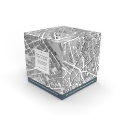 LES JOLIES PLANCHES Puzzle - Plan de Turgot - 1000 pièces