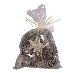 RAYHER Mix Décorations Avec Etoile, Assorties, 4-12Cm, Sachet 12Pces