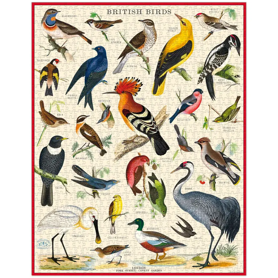 CAVALLINI & Co. Puzzle 1000 Pièces Oiseaux Britaniques 55x70cm
