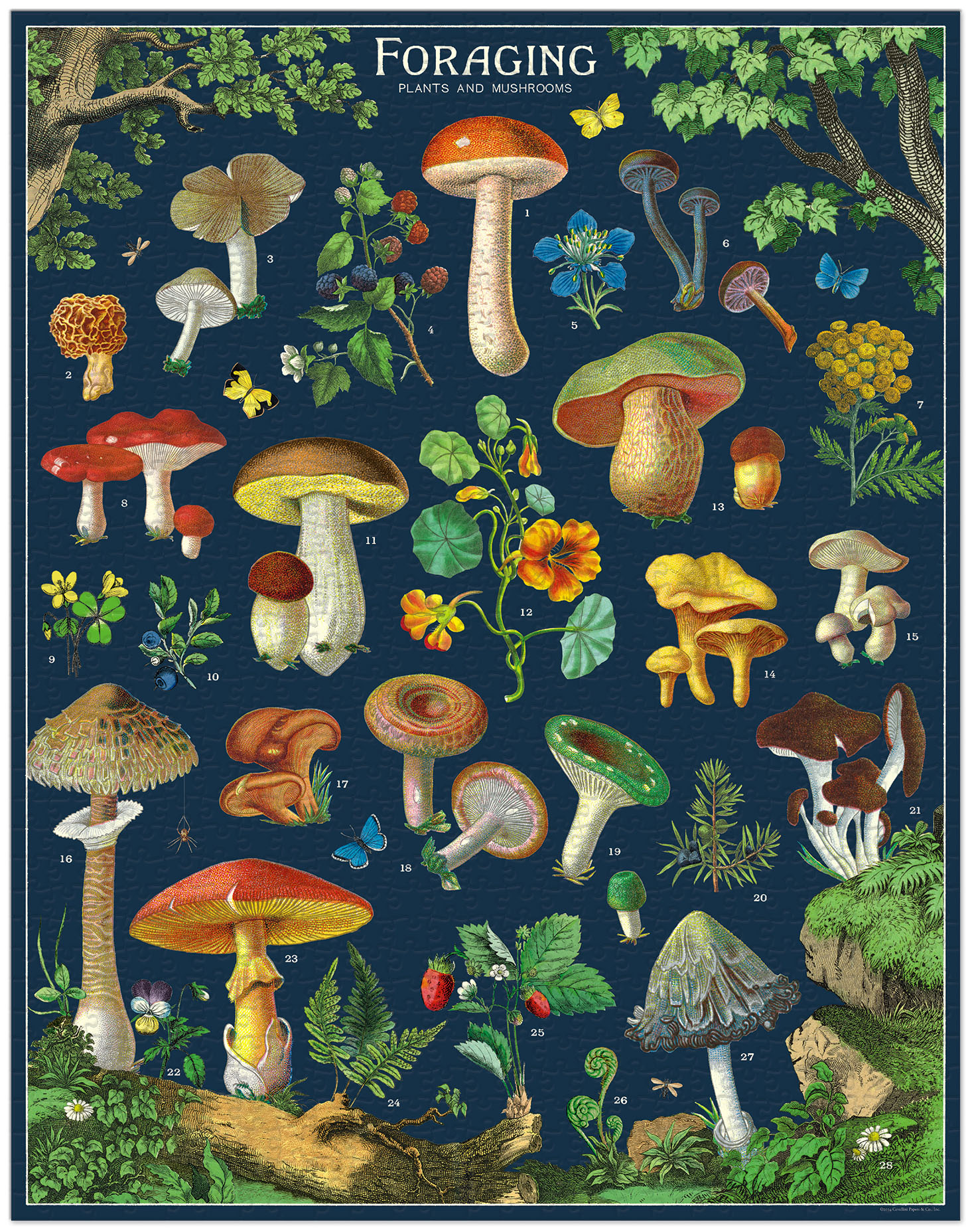 CAVALLINI & Co. Puzzle 1000 pièces champignons 2 55x70cm