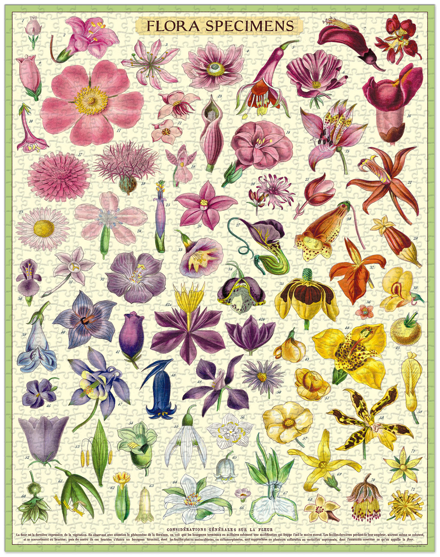 CAVALLINI & Co. Puzzle 1000 pièces fleurs 55x70cm