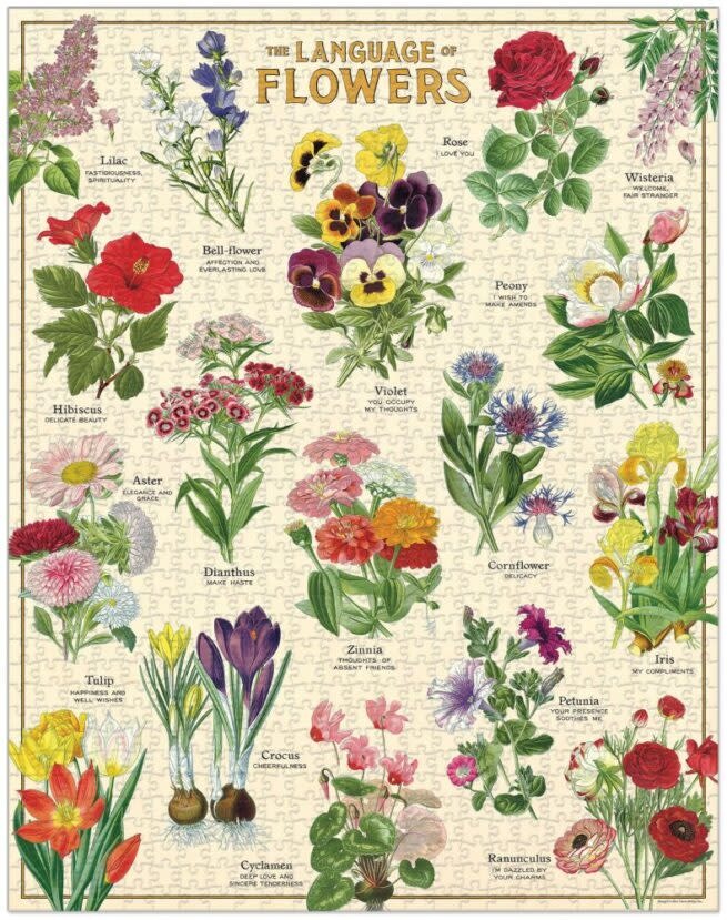 CAVALLINI & Co. Puzzle 1000 Pièces Langage Des Fleurs 55x70cm