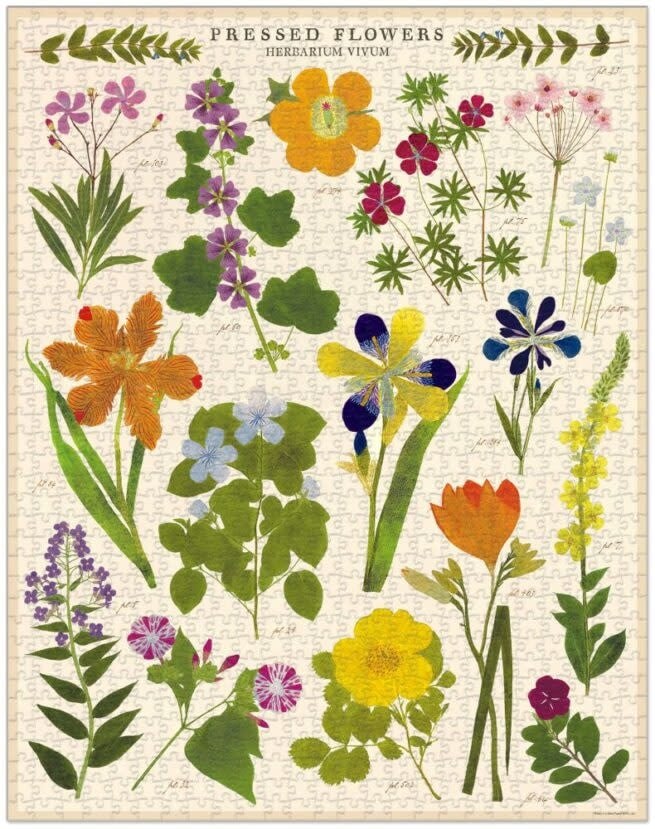 CAVALLINI & Co. Puzzle 1000 Pièces Fleurs Pressées 55x70cm