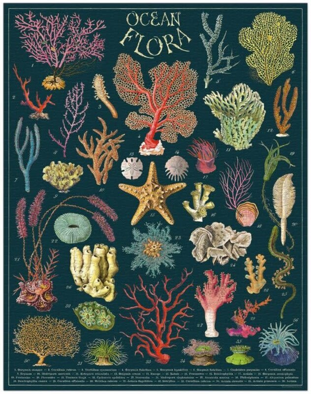 CAVALLINI & Co. Puzzle 1000 Pièces Flore Des Océans 55x70cm