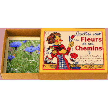 MARC VIDAL Quelles sont ces Fleurs de nos Chemins?