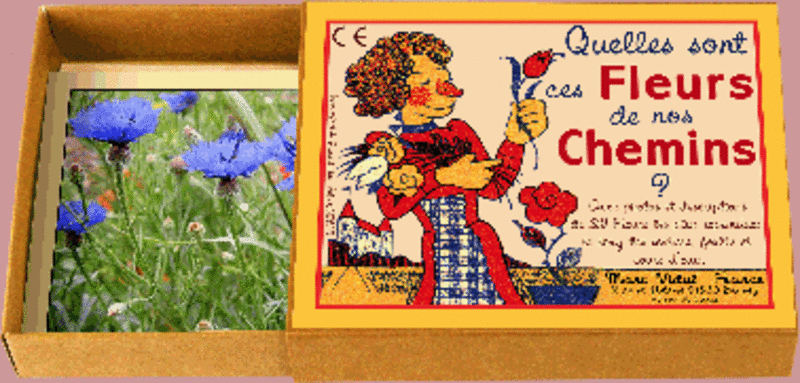 MARC VIDAL Quelles sont ces Fleurs de nos Chemins?
