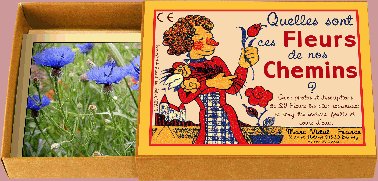 MARC VIDAL Quelles sont ces Fleurs de nos Chemins?