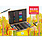 DJECO Les Couleurs Des Grands - Coffrets Couleurs Grande Boîte De Couleurs - Fsc 100%