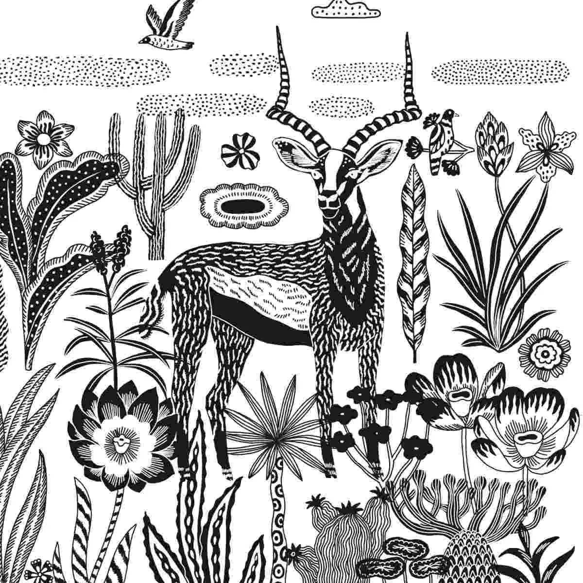 DJECO Les Plus Grands - Ateliers Savane Nocturne