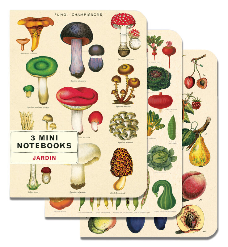 CAVALLINI & Co. Set 3 Carnets Le Jardin 10x14cm