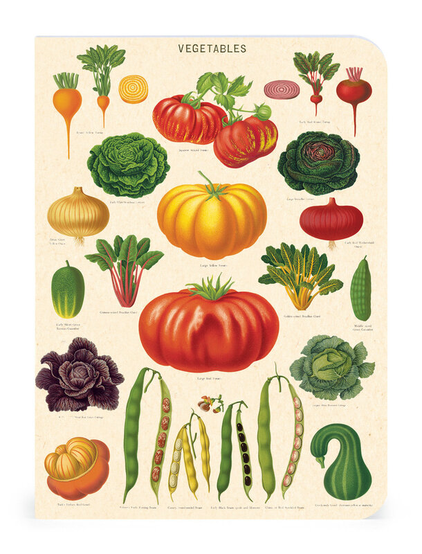 CAVALLINI & Co. Set 3 Carnets Le Jardin 10x14cm