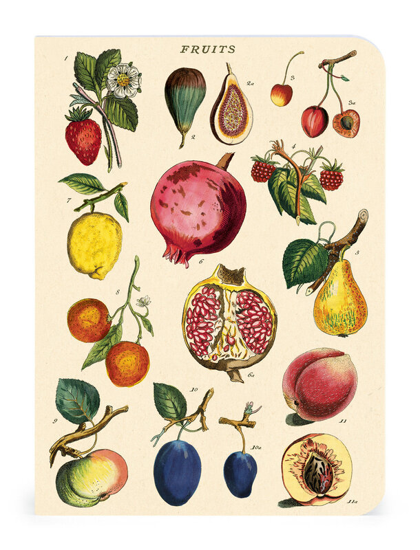 CAVALLINI & Co. Set 3 Carnets Le Jardin 10x14cm