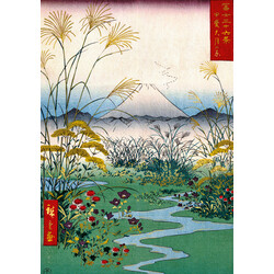 EDITIONS DU DESASTRE Le Musee - Cahier A5 - Hiro - La Plaine