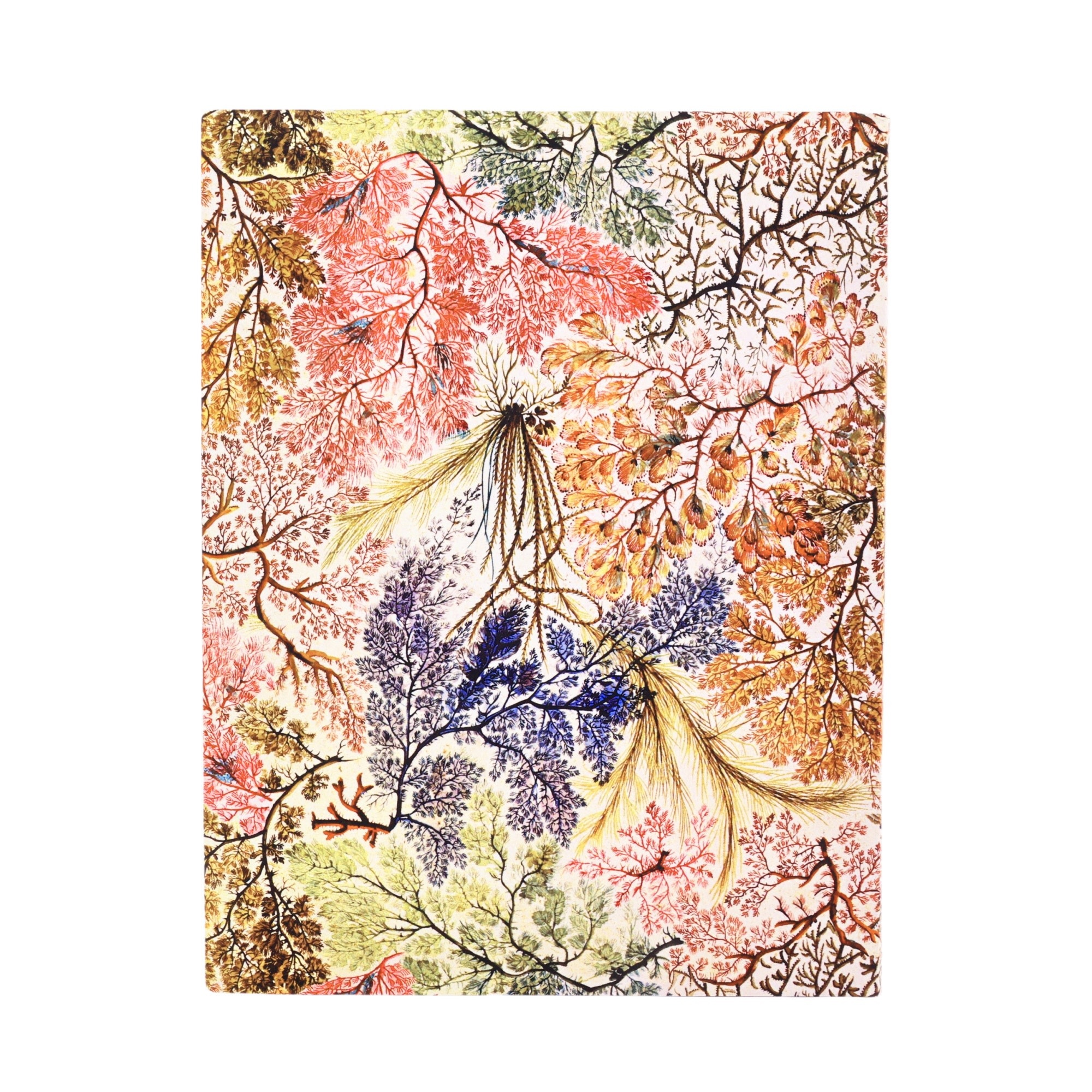 PAPERBLANKS Carnets Flexis à couverture souple Anémone Ultra Ligné