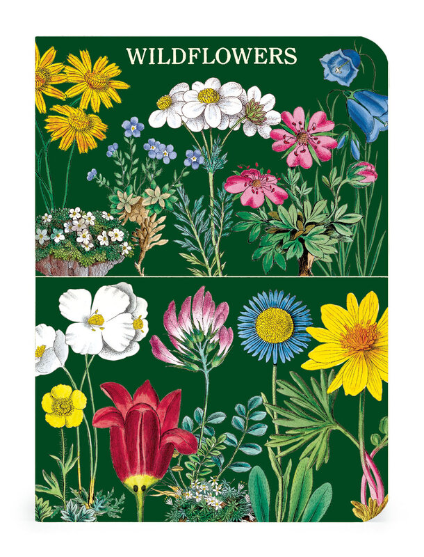 CAVALLINI & Co. Set 3 carnets Wildflowers 2  10x14cm