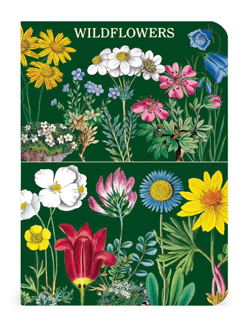 CAVALLINI & Co. Set 3 carnets Wildflowers 2  10x14cm