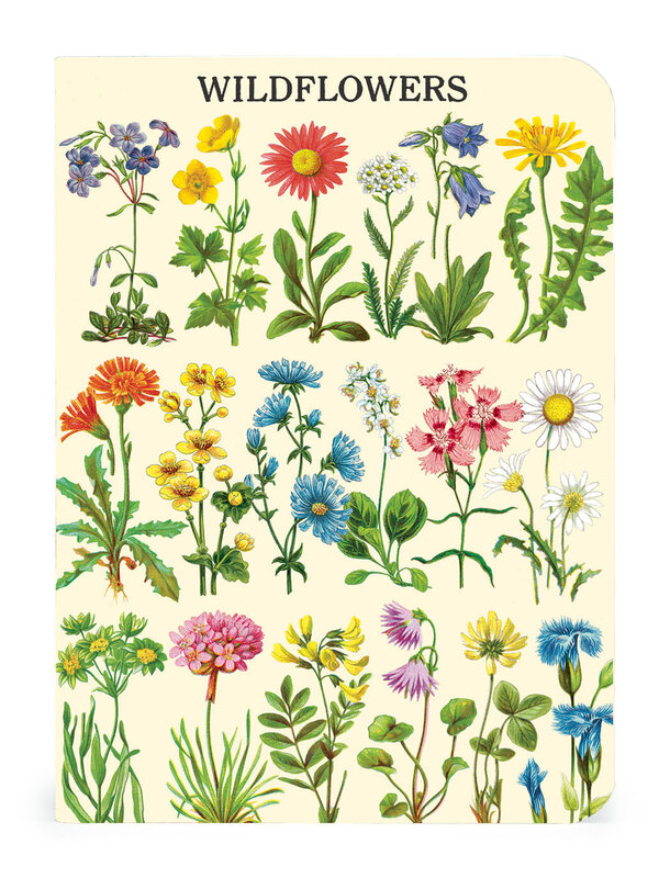 CAVALLINI & Co. Set 3 carnets Wildflowers 2  10x14cm