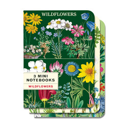 CAVALLINI & Co. Set 3 carnets Wildflowers 2  10x14cm