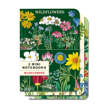 CAVALLINI & Co. Set 3 carnets Wildflowers 2  10x14cm