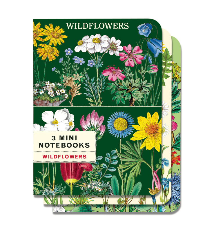 CAVALLINI & Co. Set 3 carnets Wildflowers 2  10x14cm