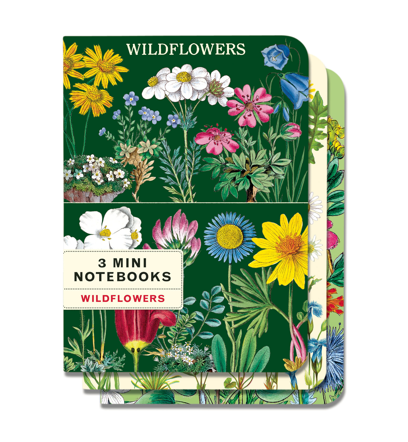 CAVALLINI & Co. Set 3 carnets Wildflowers 2  10x14cm