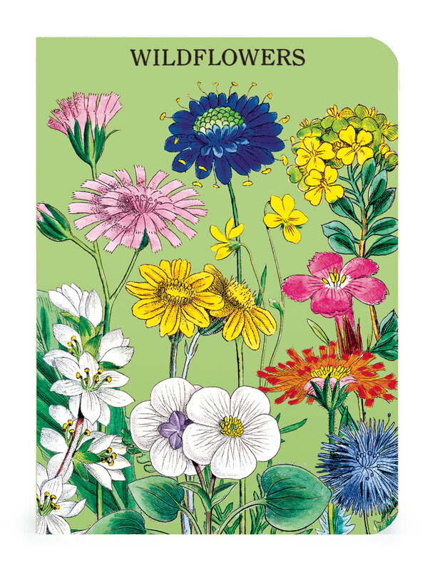 CAVALLINI & Co. Set 3 carnets Wildflowers 2  10x14cm