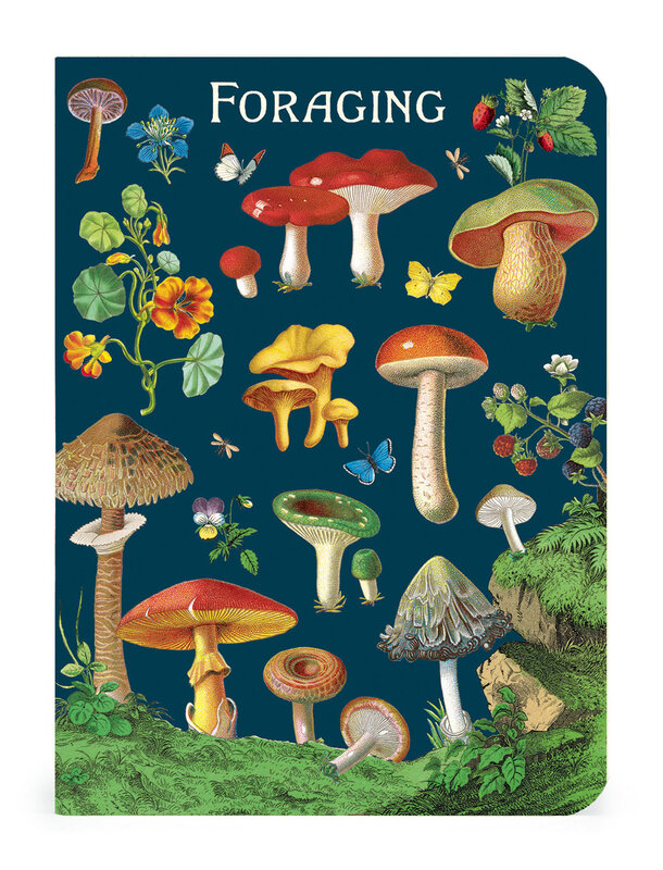 CAVALLINI & Co. Set 3 carnets Champignons 10x14cm