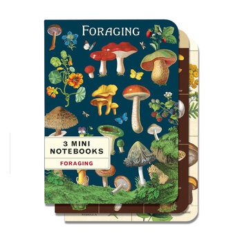 CAVALLINI & Co. Set 3 carnets Champignons 10x14cm
