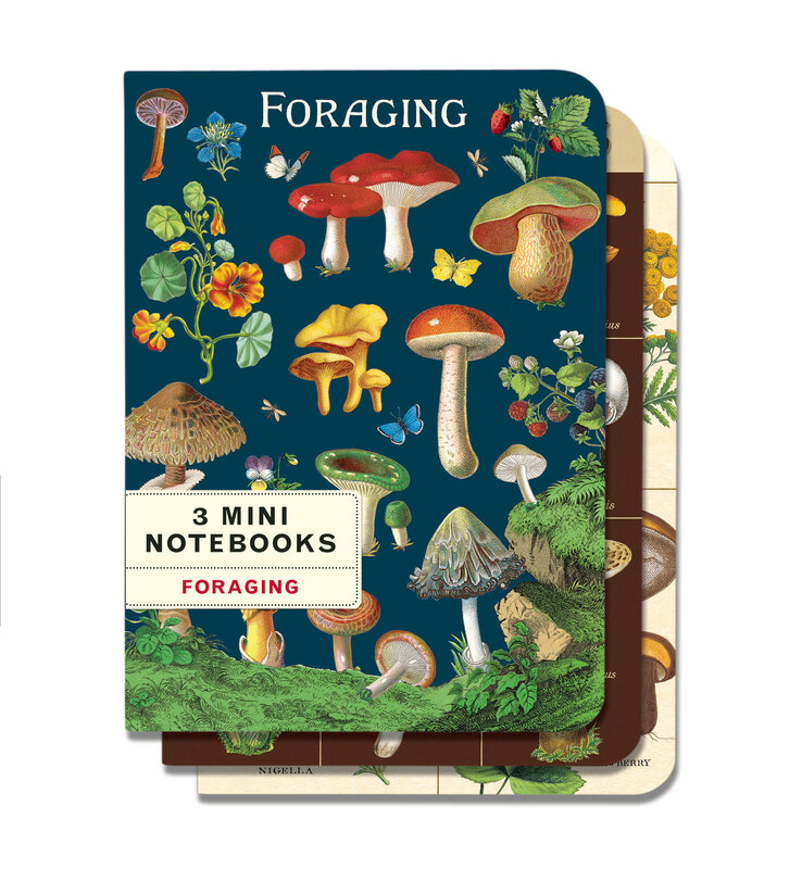 CAVALLINI & Co. Set 3 carnets Champignons 10x14cm