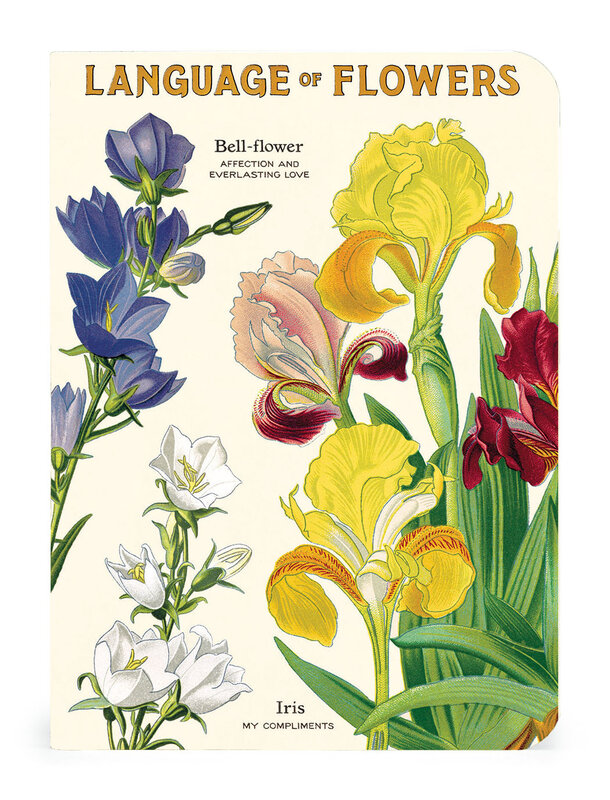 CAVALLINI & Co. Set 3 carnets Language of Flowers 10x14cm