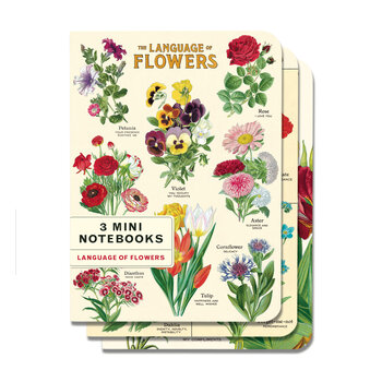 CAVALLINI & Co. Set 3 carnets Language of Flowers 10x14cm