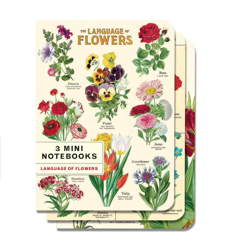 CAVALLINI & Co. Set 3 carnets Language of Flowers 10x14cm
