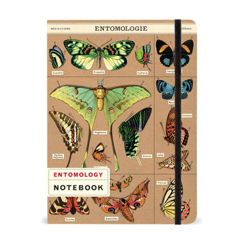 CAVALLINI & Co. Carnet Entomology 15x20cm