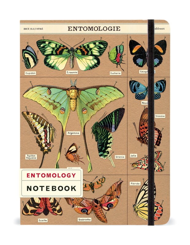 CAVALLINI & Co. Carnet Entomology 15x20cm