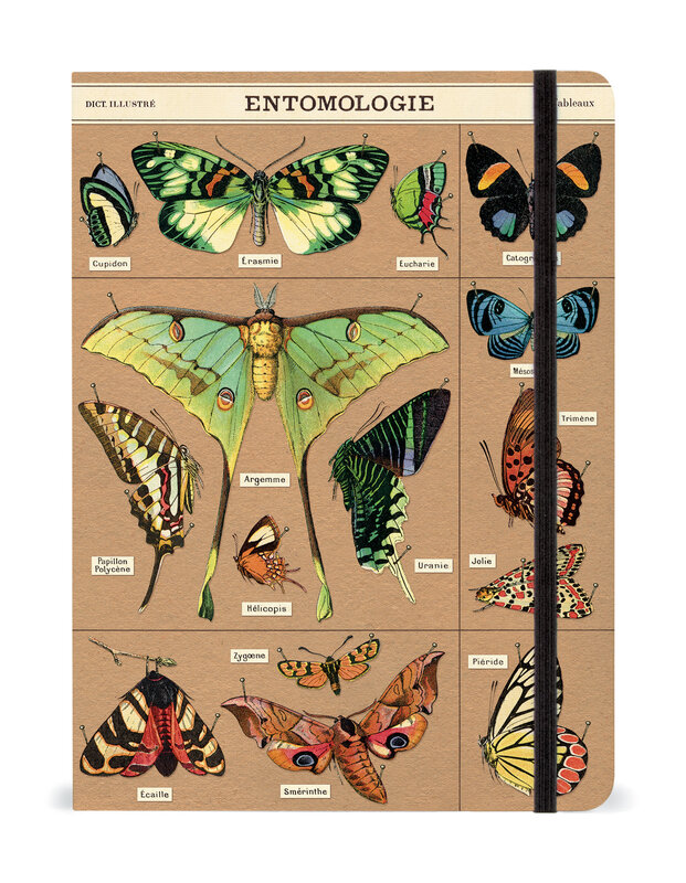 CAVALLINI & Co. Carnet Entomology 15x20cm