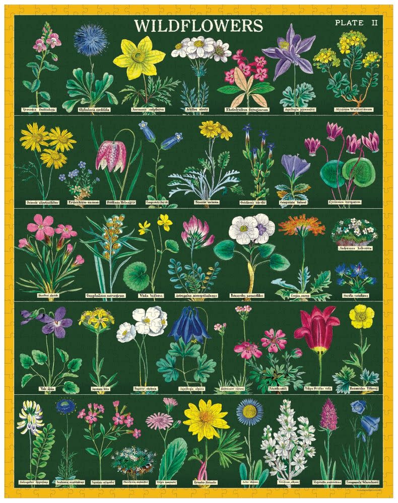 CAVALLINI & Co. Puzzle 1000 pièces Fleurs Sauvages 2 55x70cm
