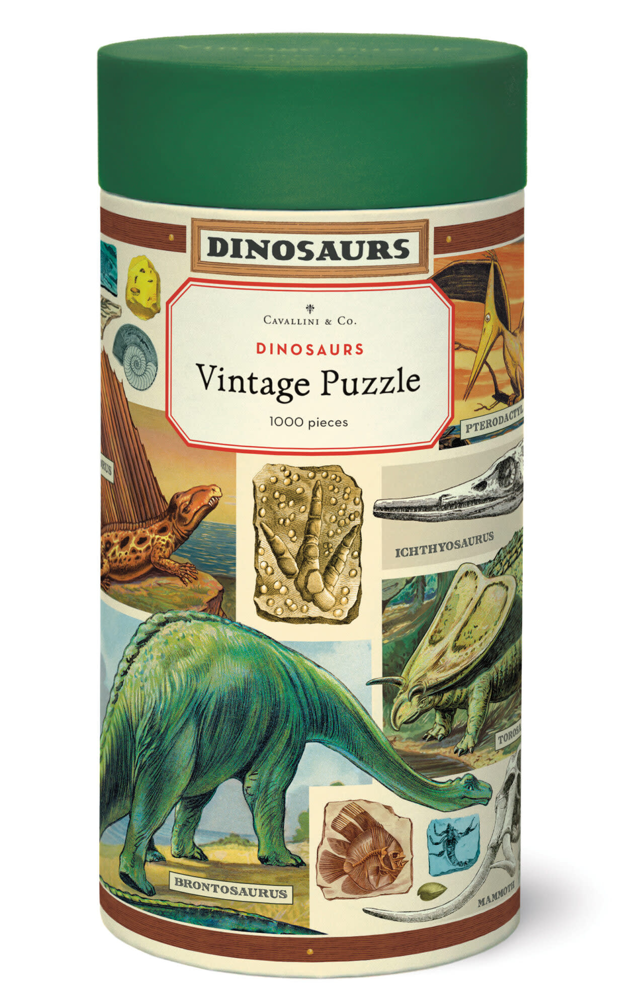 CAVALLINI & Co. Puzzle 1000 pièces Dinosaures 55x70cm