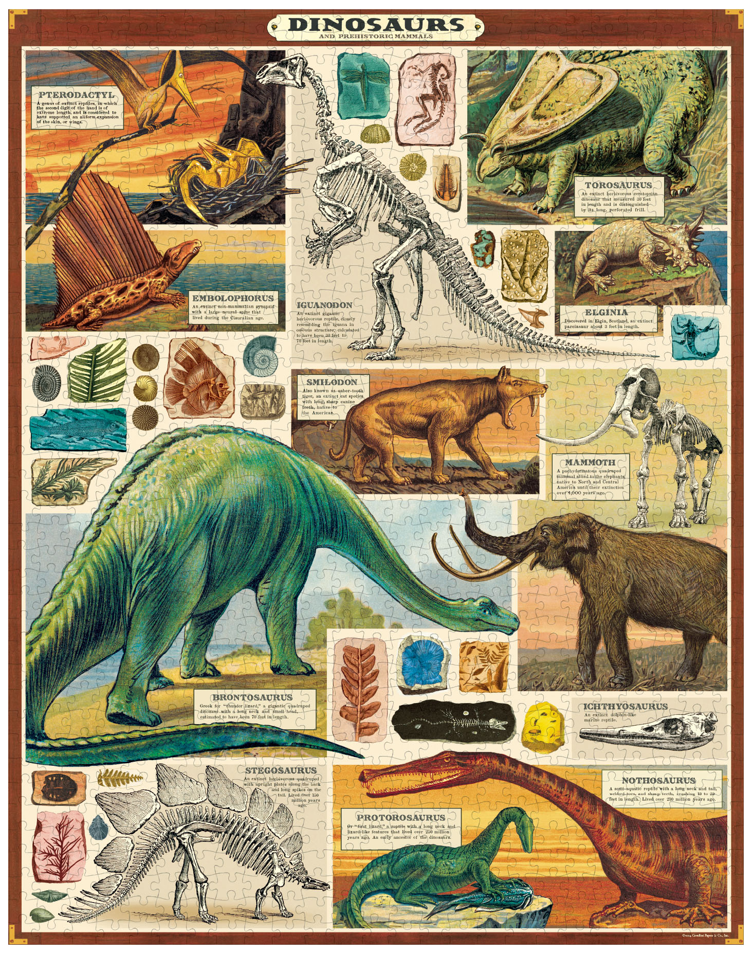 CAVALLINI & Co. Puzzle 1000 pièces Dinosaures 55x70cm