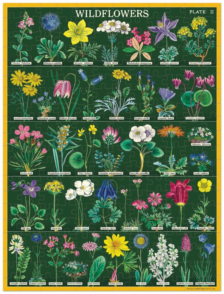 CAVALLINI & Co. Puzzle 240 pièces Wildflowers  2 27x45cm