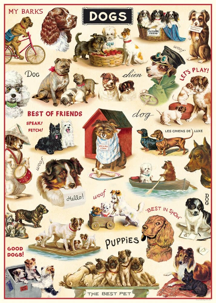 CAVALLINI & Co. Affiche Vintage Dogs 2 50x70cm
