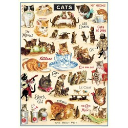 CAVALLINI PAPERS Affiche 50 X 70 Cm Chats Vintage Ii