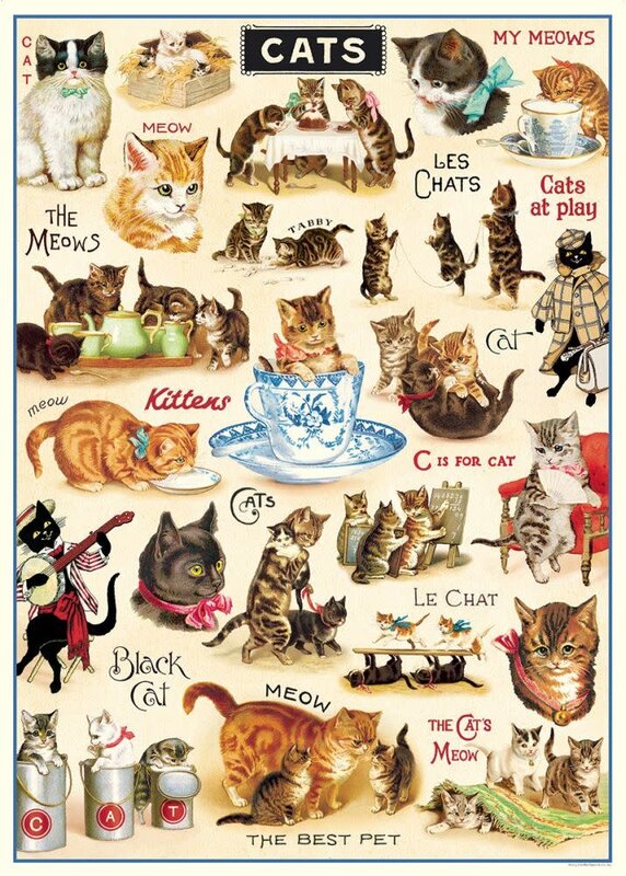 CAVALLINI & Co. Affiche Vintage Cats 2 50x70cm
