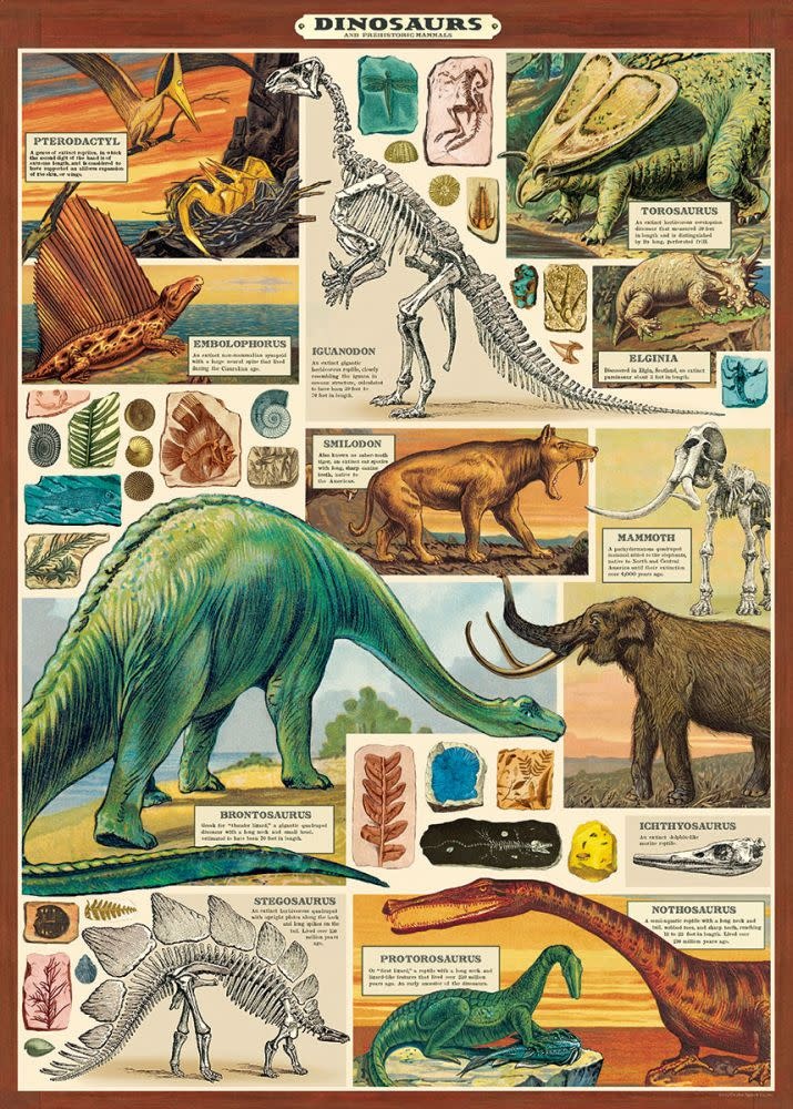 CAVALLINI & Co. Affiche Dinosaures 50x70cm