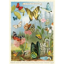 CAVALLINI PAPERS Affiche 50 X 70 Cm Papillons 4