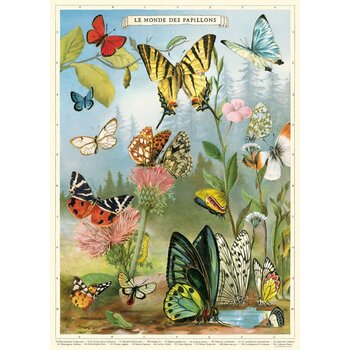 CAVALLINI PAPERS Affiche 50 X 70 Cm Papillons 4