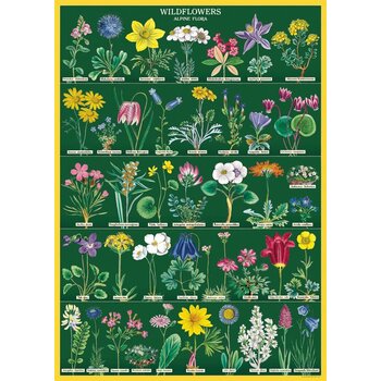 CAVALLINI PAPERS Affiche 50 X 70 Cm Flore Alpine
