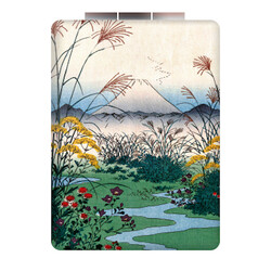 EDITIONS DU DESASTRE Le Musee - Miroir Rect - Hiro - La Plaine