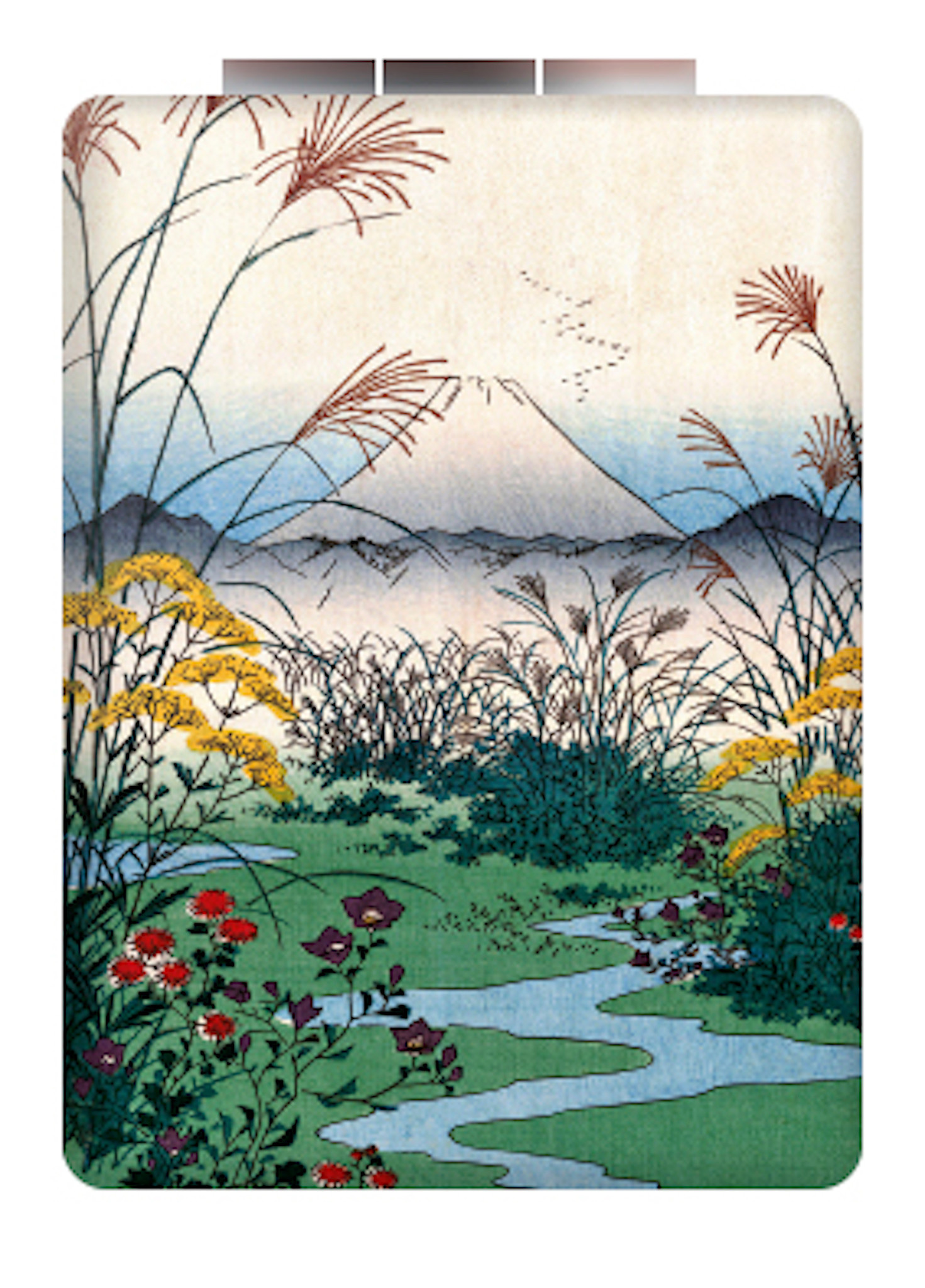 EDITIONS DU DESASTRE Le Musee - Miroir Rect - Hiro - La Plaine