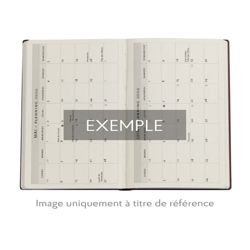 PAPERBLANKS Agenda 2025- 2026 Morris Windrush Midi Horizontal 13 mois