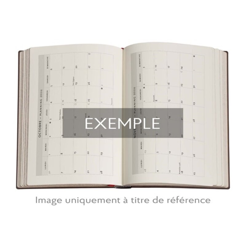 PAPERBLANKS Agenda 2025-2026 The Orchard Midi Horizontal 13 mois